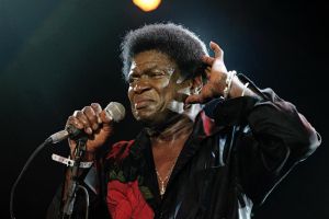 Charles Bradley NSJ 2014 